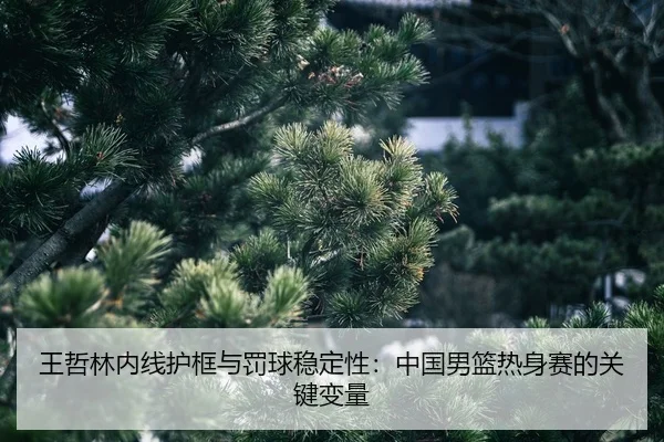 wang-zhe-lin-nei-xian-hu-kuang-yu-fa-qiu-wen-ding-xing-zhong-guo-nan-lan-re-shen-sai-de-guan-jian-bian-liang-2-242.jpg
