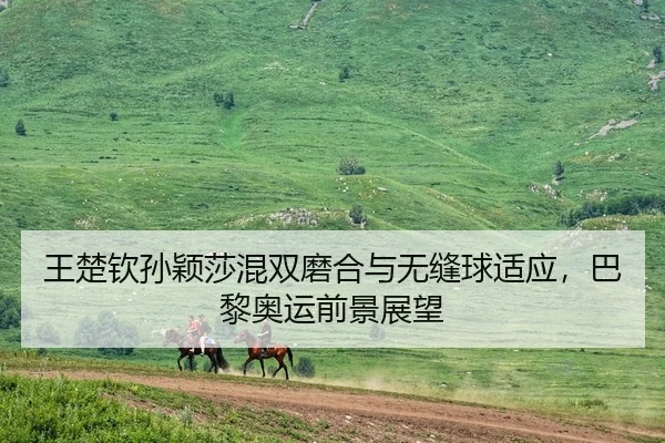 王楚钦孙颖莎混双磨合与无缝球适应，巴黎奥运前景展望