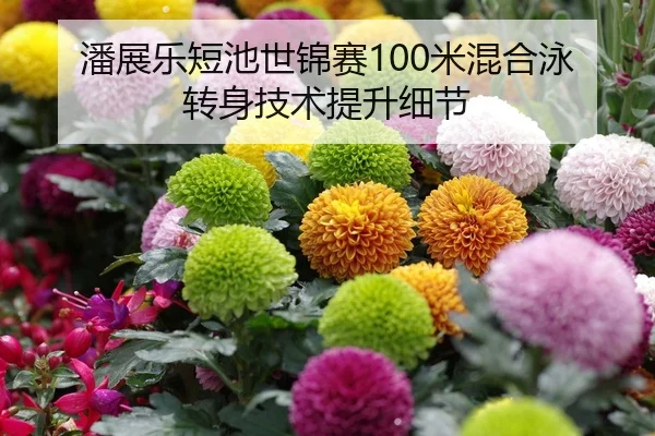 潘展乐短池世锦赛100米混合泳转身技术提升细节