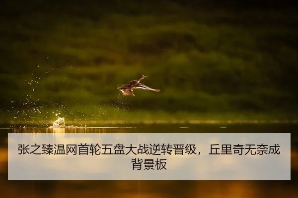 张之臻温网首轮五盘大战逆转晋级，丘里奇无奈成背景板