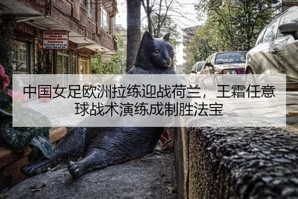 中国女足欧洲拉练迎战荷兰，王霜任意球战术演练成制胜法宝