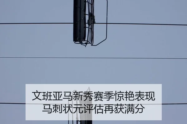 文班亚马新秀赛季惊艳表现 马刺状元评估再获满分