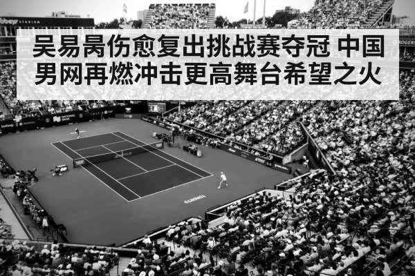 吴易昺伤愈复出挑战赛夺冠 中国男网再燃冲击更高舞台希望之火